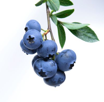 blueberries
