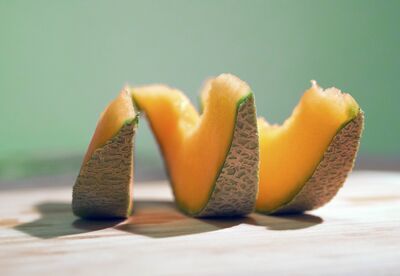 Keywords: cantaloupe,fruit,Watercolor Painting of Cantaloupe