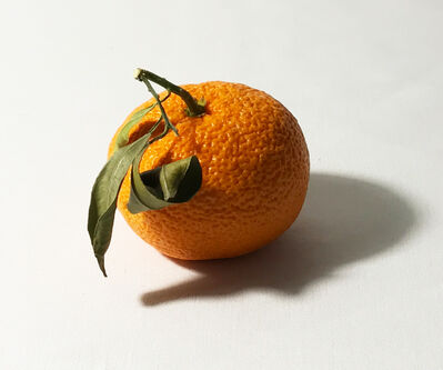 Keywords: painting of a rotten Mandarin orange