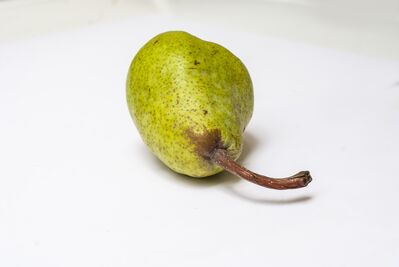 Keywords: painting a pear step by step,green pear