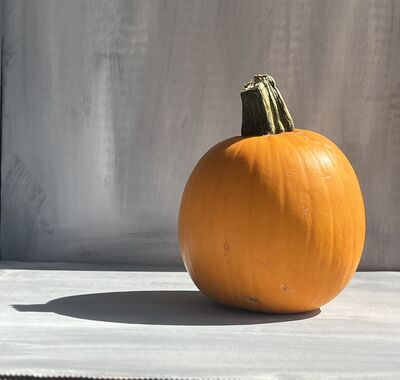 pumpkin
Keywords: pumpkin