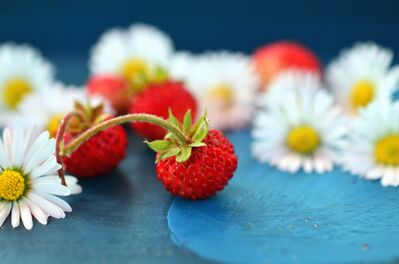 Keywords: raspberries,daisy