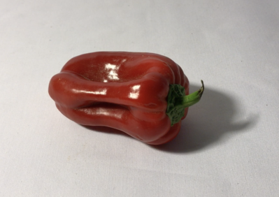 Keywords: red pepper