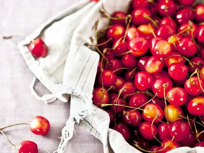 Keywords: watercolor painting of cherries - 20:24,red,yellow,cloth