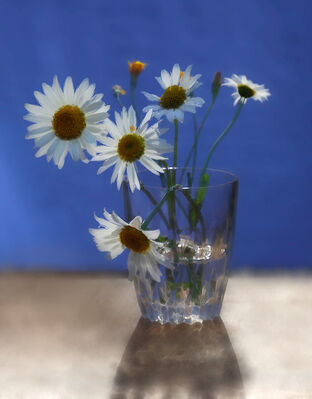 Keywords: Member Painting Challenge - Watercolor of Daisies in a Glass,12-week watercolor fundamentals class 12 (April 29 2021) 3:18:52,Member learning challenge meeting - April 30 2021 PM - 1:17:17,Member learning challenge meeting - April 30 2021 AM - 1:26:41