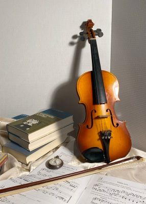 reference_violin
