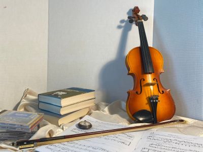 reference_violin2
