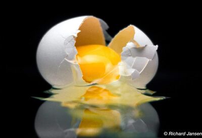 Keywords: egg