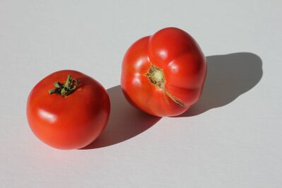 Keywords: tomato,tomatoes,12-week Watercolor fundamentals class 7 (March 18 2021) - 1:52:42