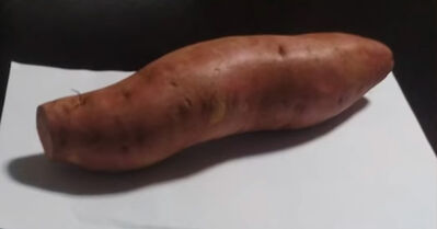 Keywords: drawing part of a sweet potato with charcoal