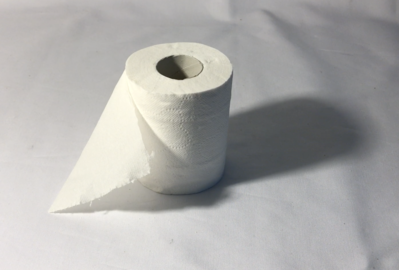 Keywords: tissue_roll,how to see and draw shapes