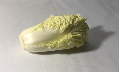 Keywords: vegatable,Watercolor Painting of a Chinese Cabbage