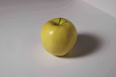 Keywords: introduction to observational contour drawing,green apple