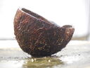 A_cut_coconut_shell.JPG