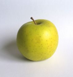 apple-2.jpg