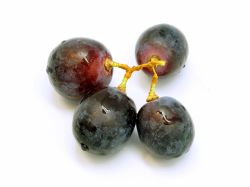 grape-2.jpg