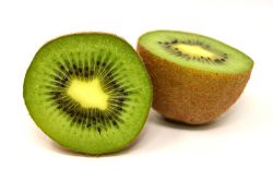 kiwi2.jpg