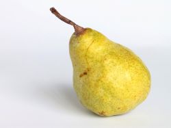 pear2.jpg
