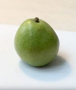 pear_green~0.jpg