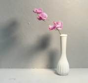 pink_flower_white_vase.png