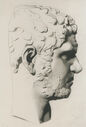 Plate-I2C-038---Caracalla.jpg