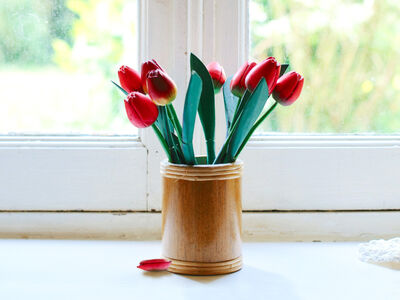 Keywords: tulips,tulip,flower,window,Watercolor painting of tulips plus drawing study - 41:16