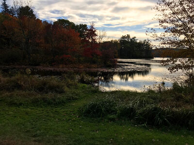 Keywords: autumn,fall,trees,river,water