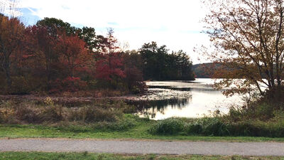 Keywords: autumn,fall,trees,river,water