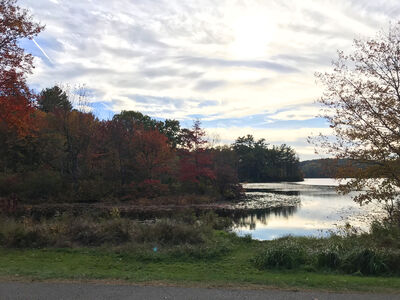 Keywords: autumn,fall,trees,river,water