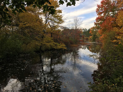 Keywords: autumn,fall,trees,river,water