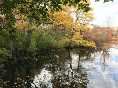 Keywords: autumn,fall,trees,river,water