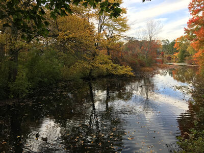 Keywords: autumn,fall,trees,river,water