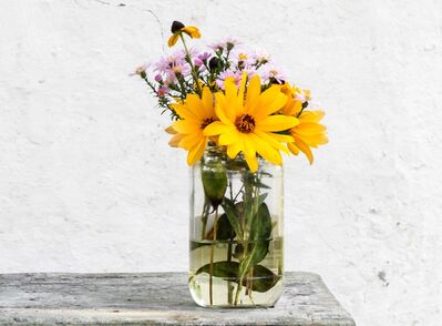 Keywords: flowers,black_eyed_susan