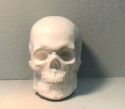 Keywords: hman skull,skull,reference,cast,drawing the plaster cast of a skull using charcoal