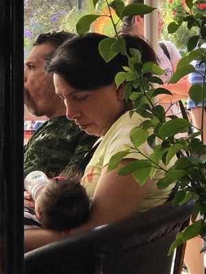 Keywords: new baby,grandmother,grandfather,moustache,yellow blouse,chairs,bushes