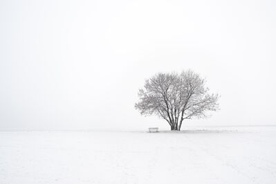 Keywords: tree,winter,Painting a winter memory in Watercolor,Painting a winter memory in Watercolor - 20:09