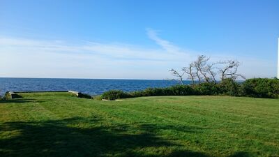 Keywords: grass,green,sea,blue,ocean