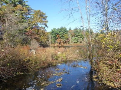 Keywords: lake,trees