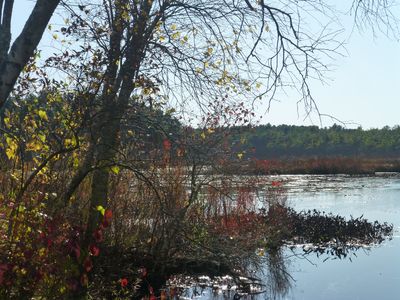 Keywords: lake,trees