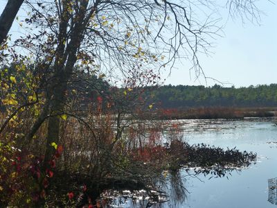 Keywords: lake,trees