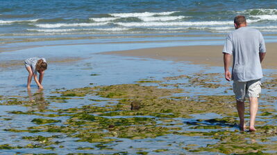 Keywords: people,seashore,exploring,girl,man,sea,ocean