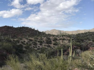 Keywords: green hills,desert,cactus,clouds