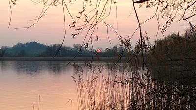 Keywords: tree,autumn,trees,lake