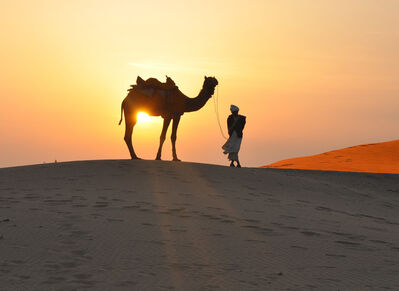 Keywords: desert,sun,camel,driver,footprints,Watercolor painting of a camel in a sunrise desert - 19:32