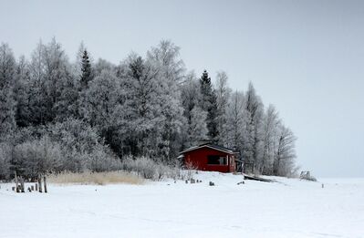 Keywords: How to use salt in watercolor landscape painting,red,barn,house,snow,winter,trees