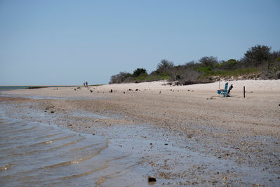 Keywords: beach,seascape,ocean,sand,painting people walking on the beach