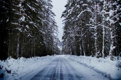 Keywords: snowy trees,painting a winter landscape using salt