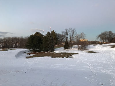 Keywords: snow in park,painting trees on rolling snow-covered hills,drawing snow and trees in a winter landscape using charcoal