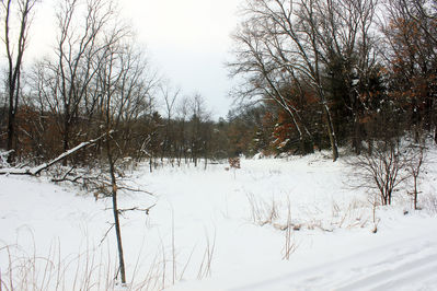 Keywords: snowy-landscape,painting footprints in the snow near trees