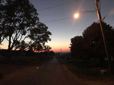 street light road
Keywords: street light,road,telephone,poles,sunset,trees